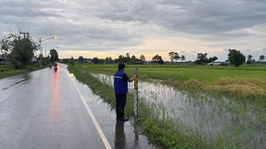 ถนนและพื้นที่เกษตรในสุโขทัยหลังฝนตกช่วงเย็น มีน้ำขังบางจุด